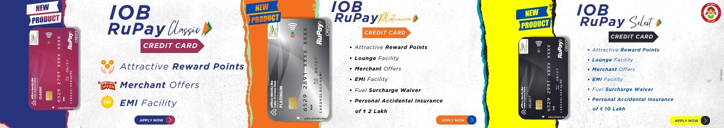 Rupay Credit Card Features